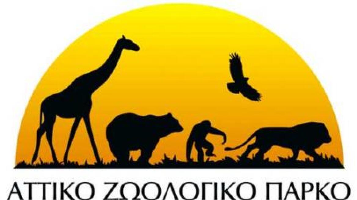 Δωρεάν τα παιδιά τον Φεβρουάριο στο Αττικό Ζωολογικό Πάρκο